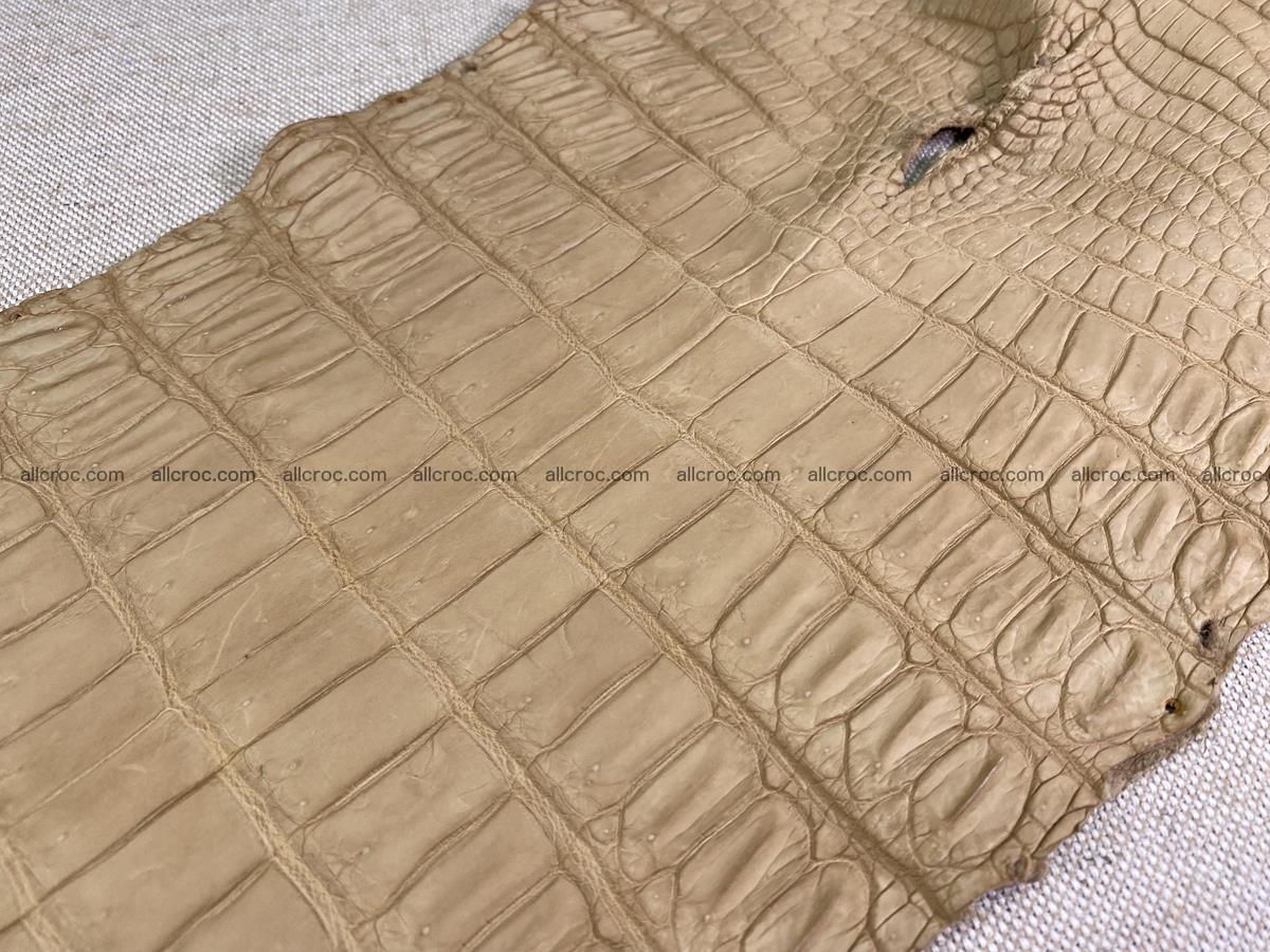 Crocodile skin belly part 34cm mustard color 1538 Foto 13