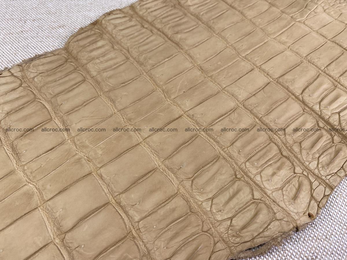 Crocodile skin belly part 34cm mustard color 1538 Foto 16