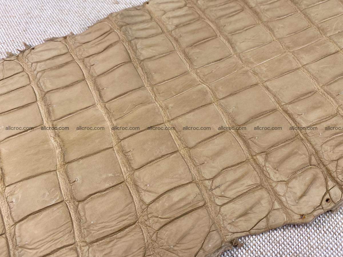 Crocodile skin belly part 34cm mustard color 1538 Foto 14