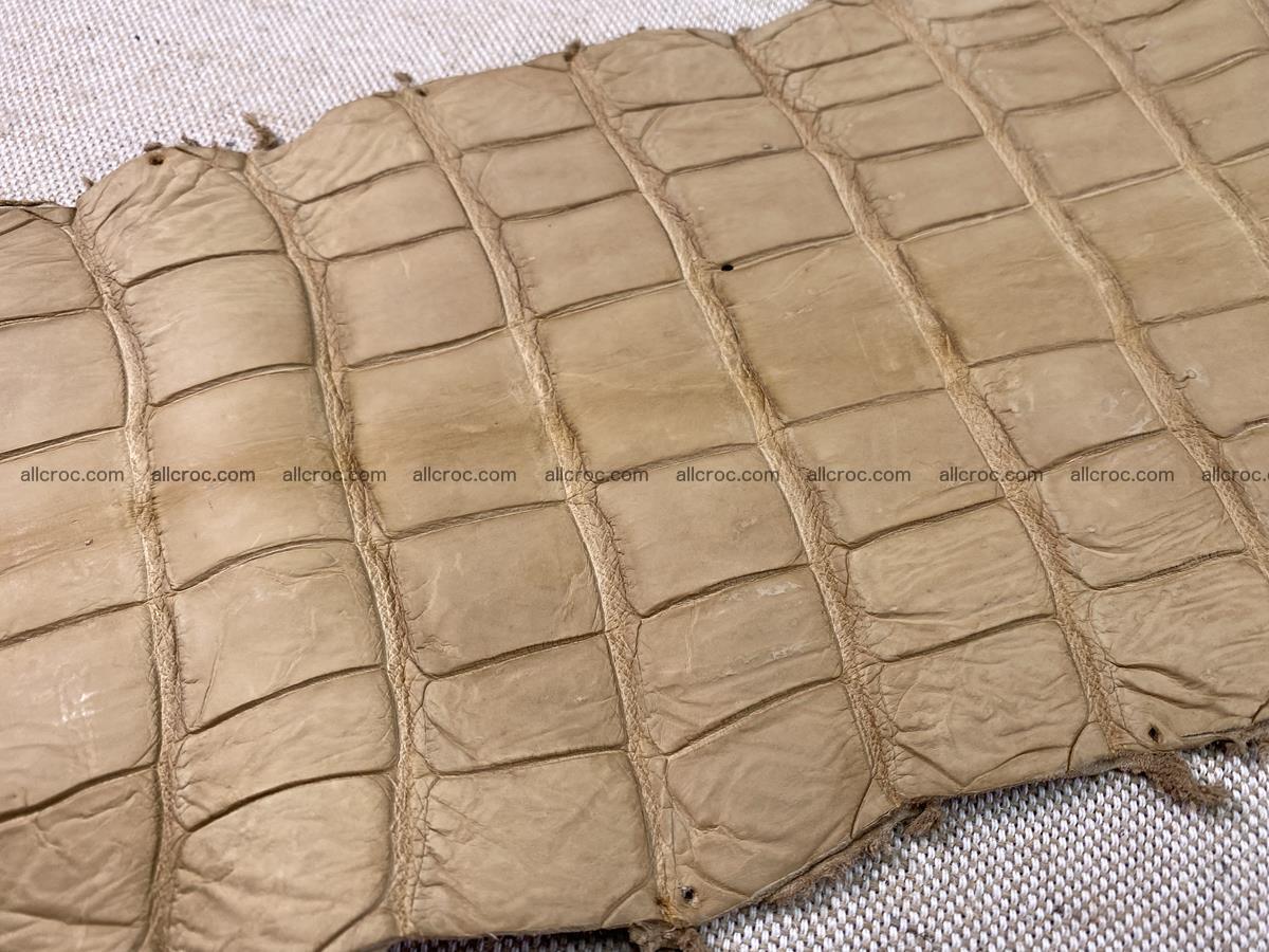 Crocodile skin belly part 34cm mustard color 1538 Foto 15