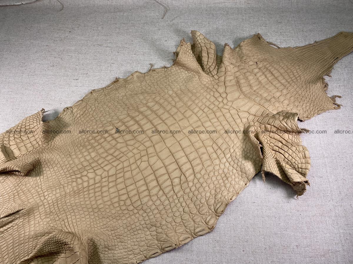 Crocodile skin belly part 37cm mustard color 1539 Foto 3