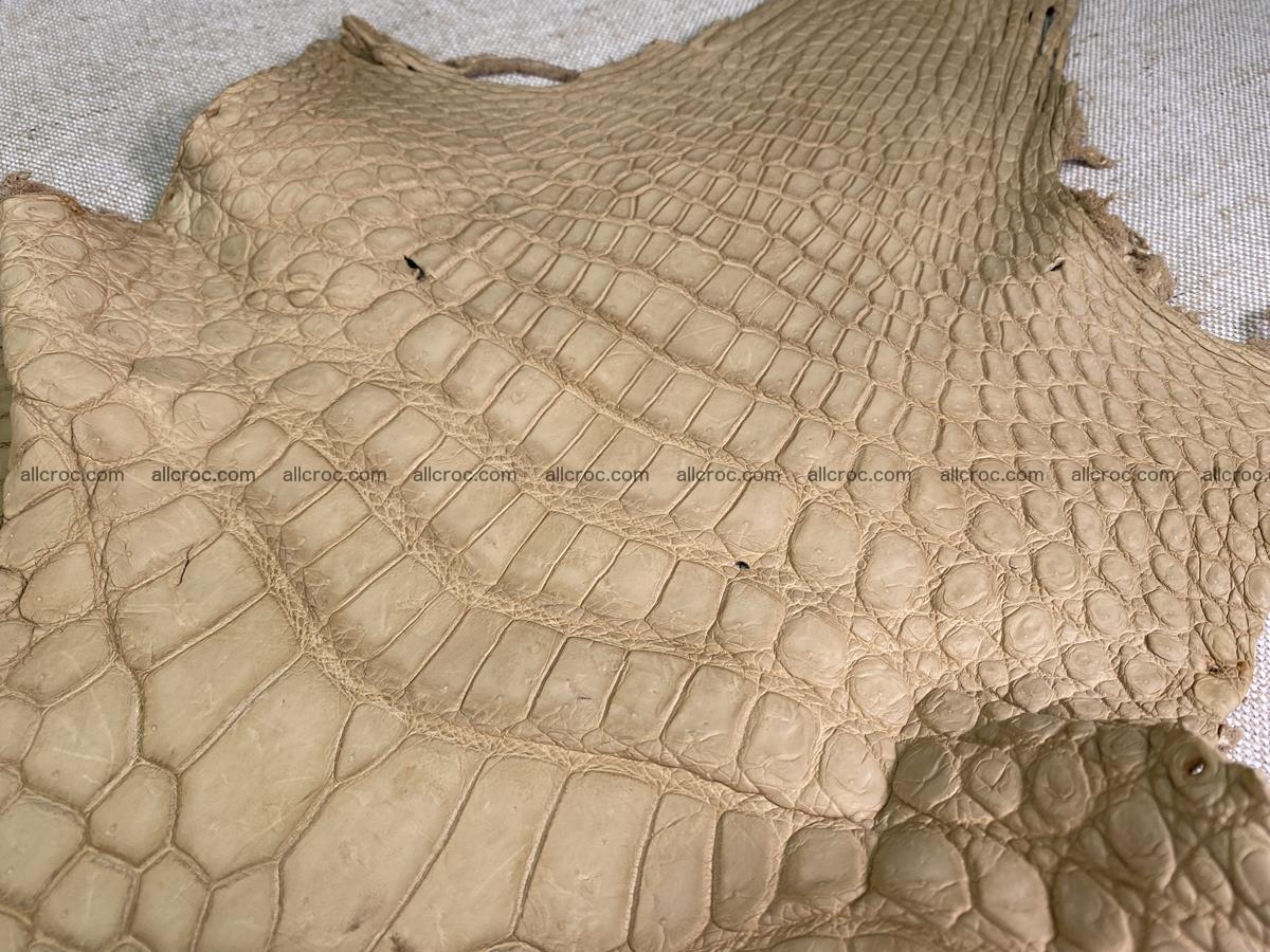 Crocodile skin belly part 37cm mustard color 1539 Foto 1