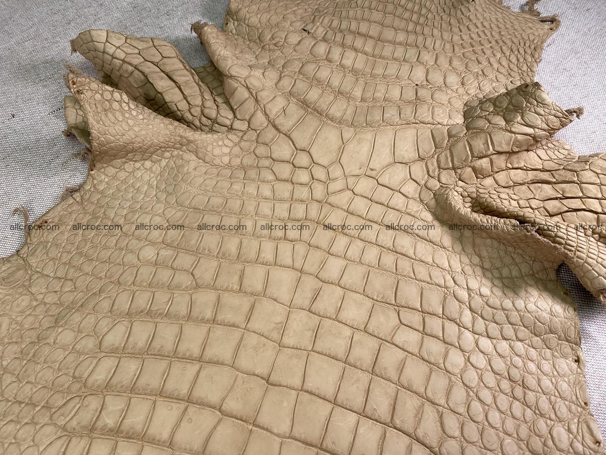 Crocodile skin belly part 37cm mustard color 1539 Foto 6