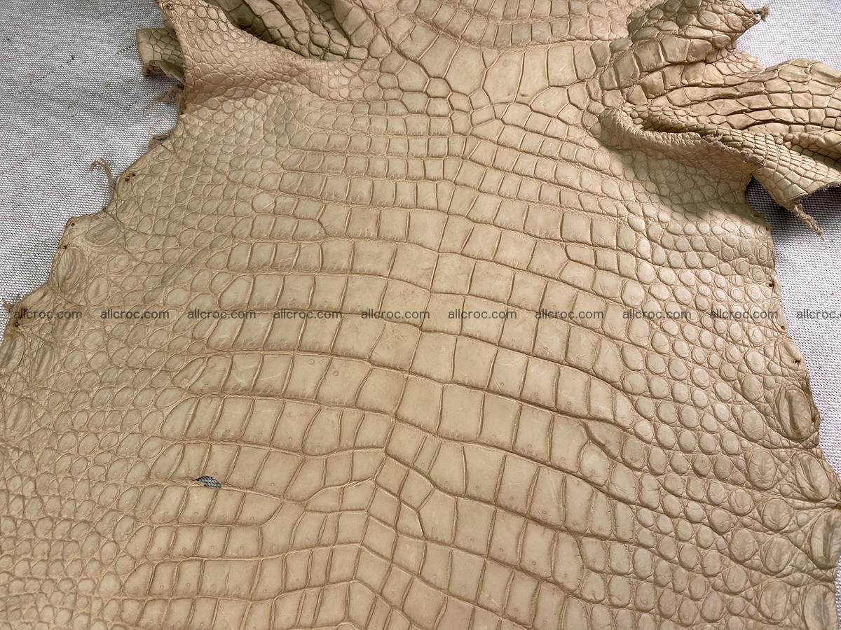 Crocodile skin belly part 37cm mustard color 1539 Foto 2