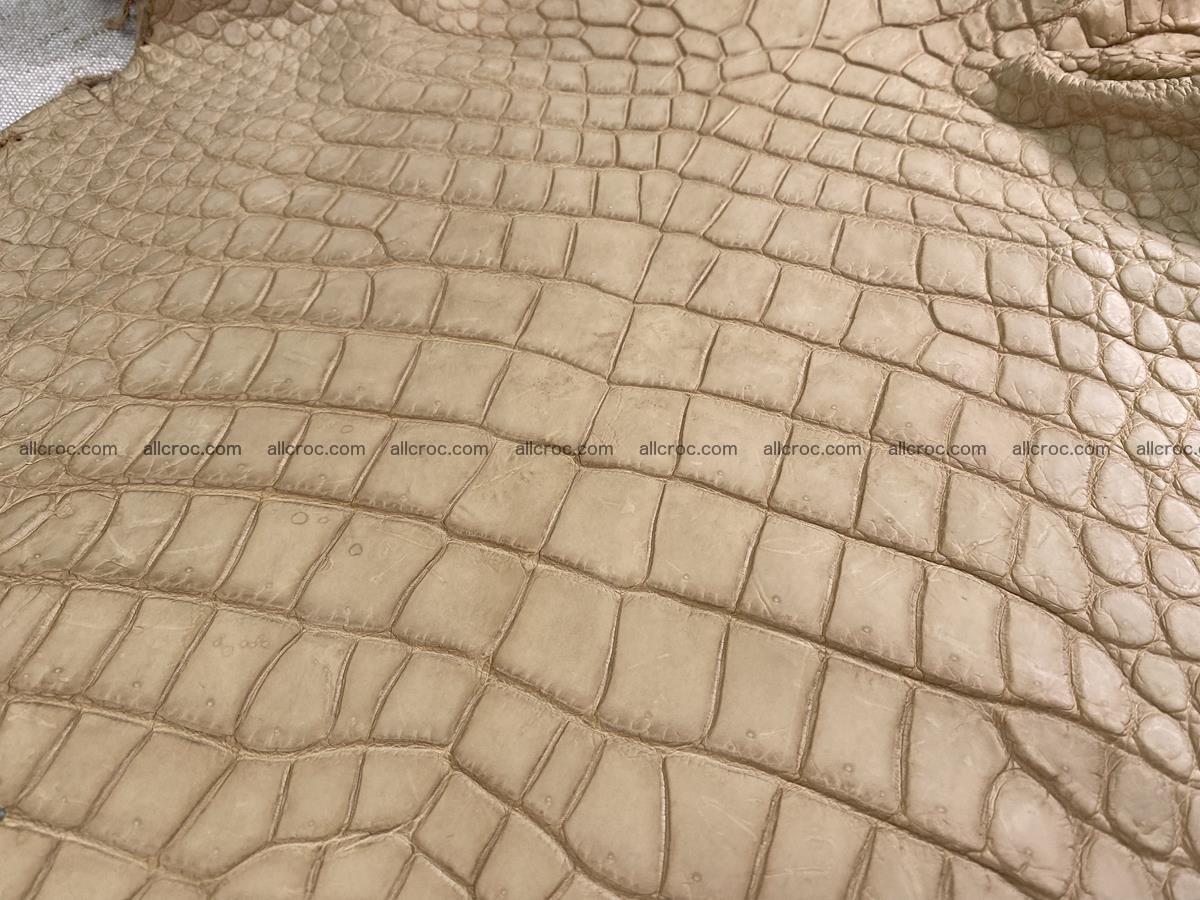 Crocodile skin belly part 37cm mustard color 1539 Foto 0
