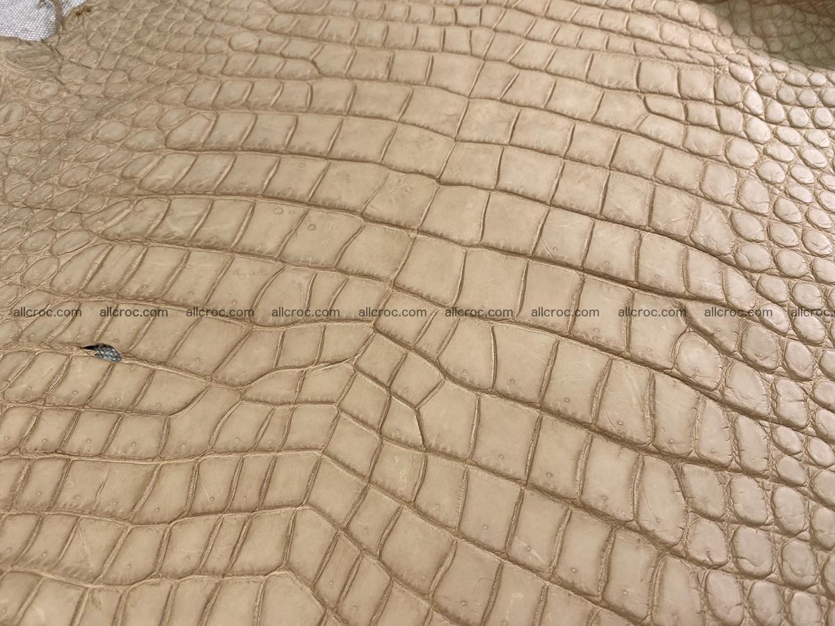 Crocodile skin belly part 37cm mustard color 1539 Foto 4