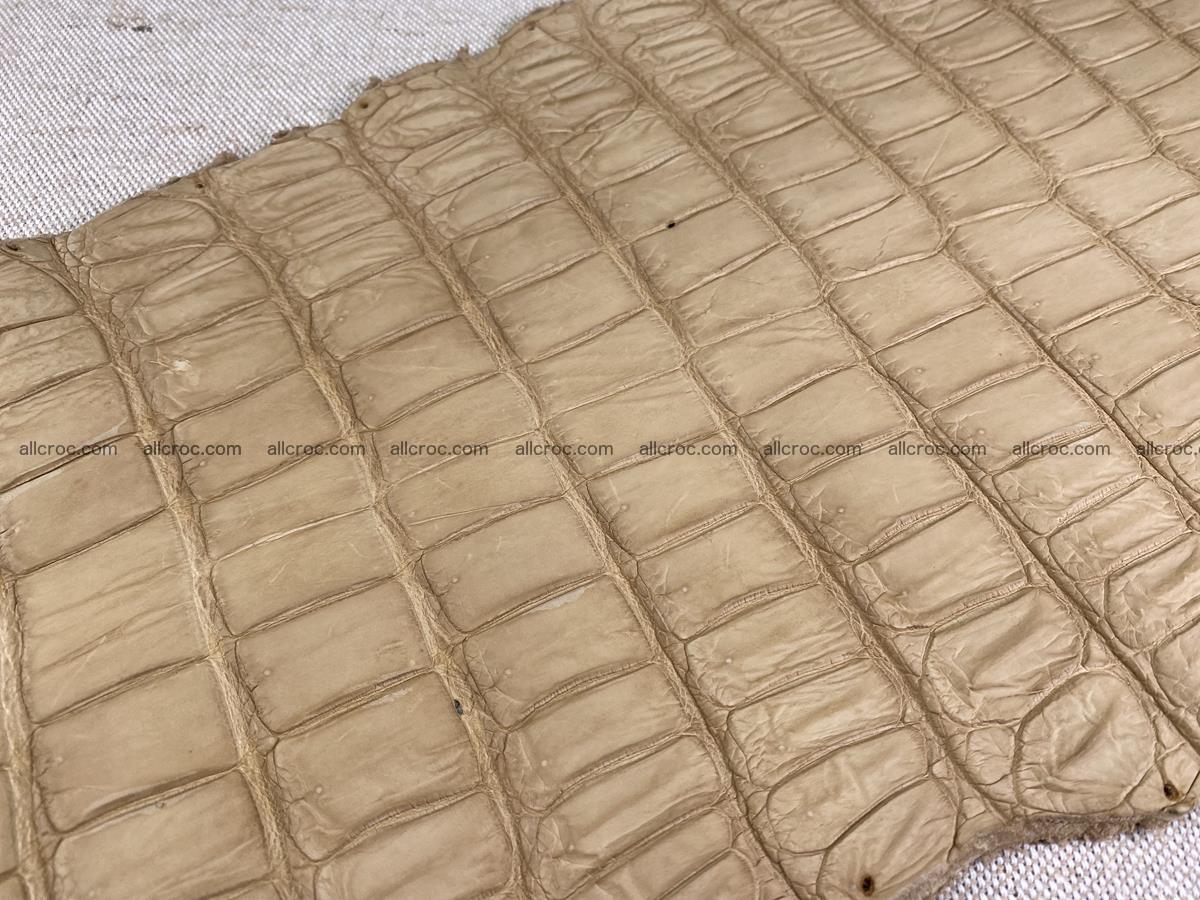 Crocodile skin belly part 37cm mustard color 1539 Foto 7