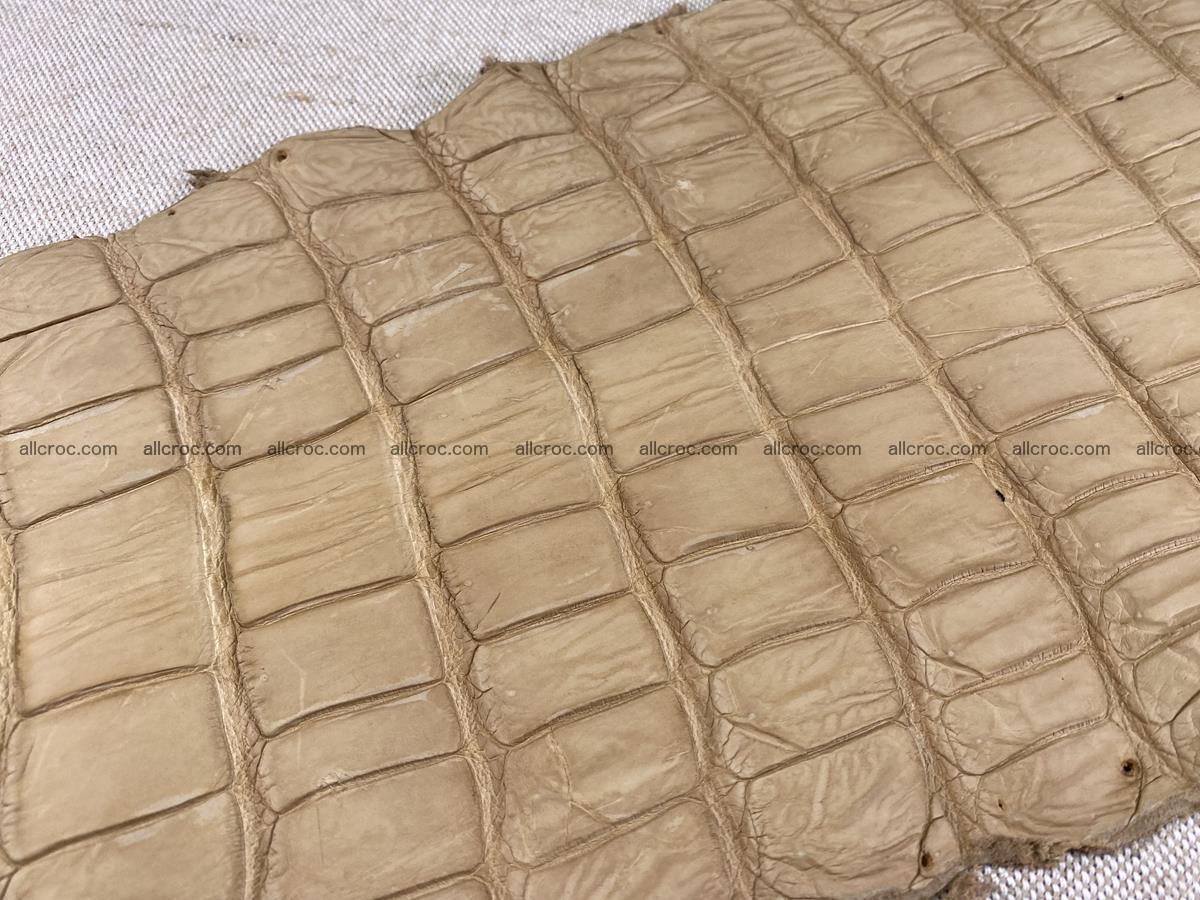 Crocodile skin belly part 37cm mustard color 1539 Foto 13