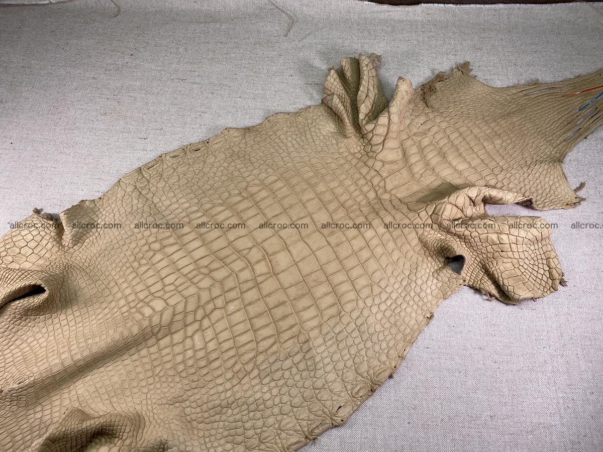 Crocodile skin belly part 41cm mustard color 1540 Foto 4