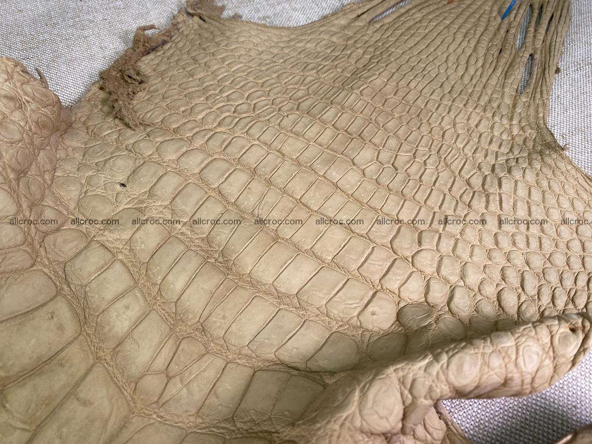 Crocodile skin belly part 41cm mustard color 1540 Foto 2