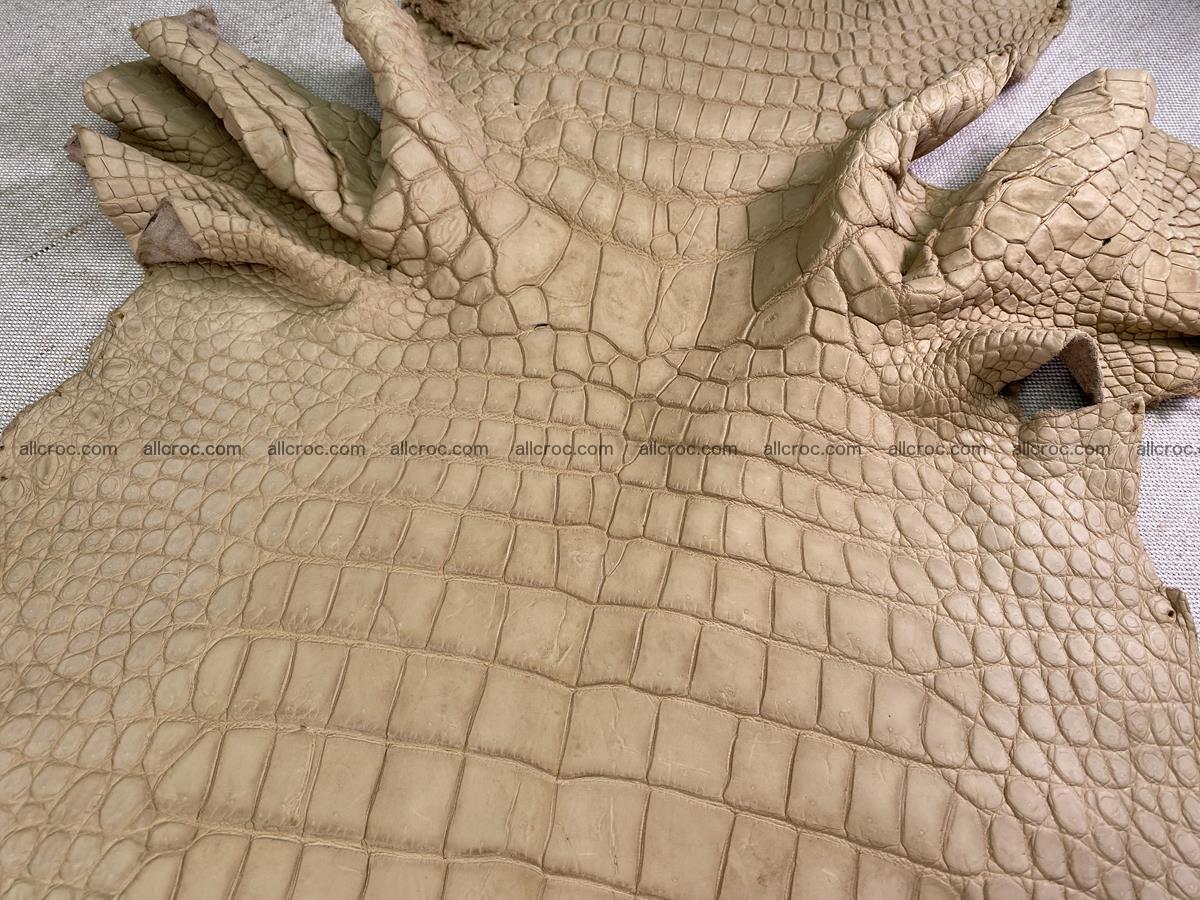 Crocodile skin belly part 41cm mustard color 1540 Foto 0