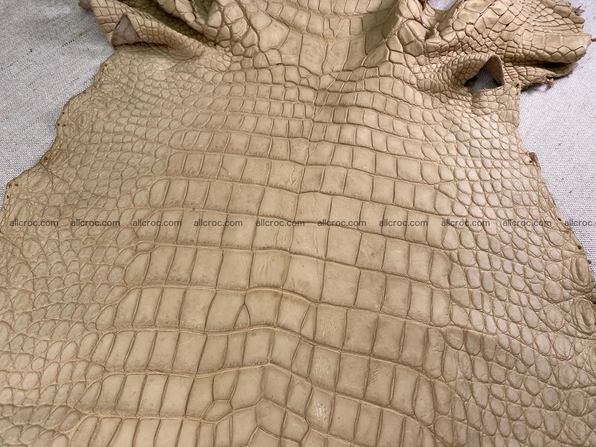 Crocodile skin belly part 41cm mustard color 1540 Foto 3