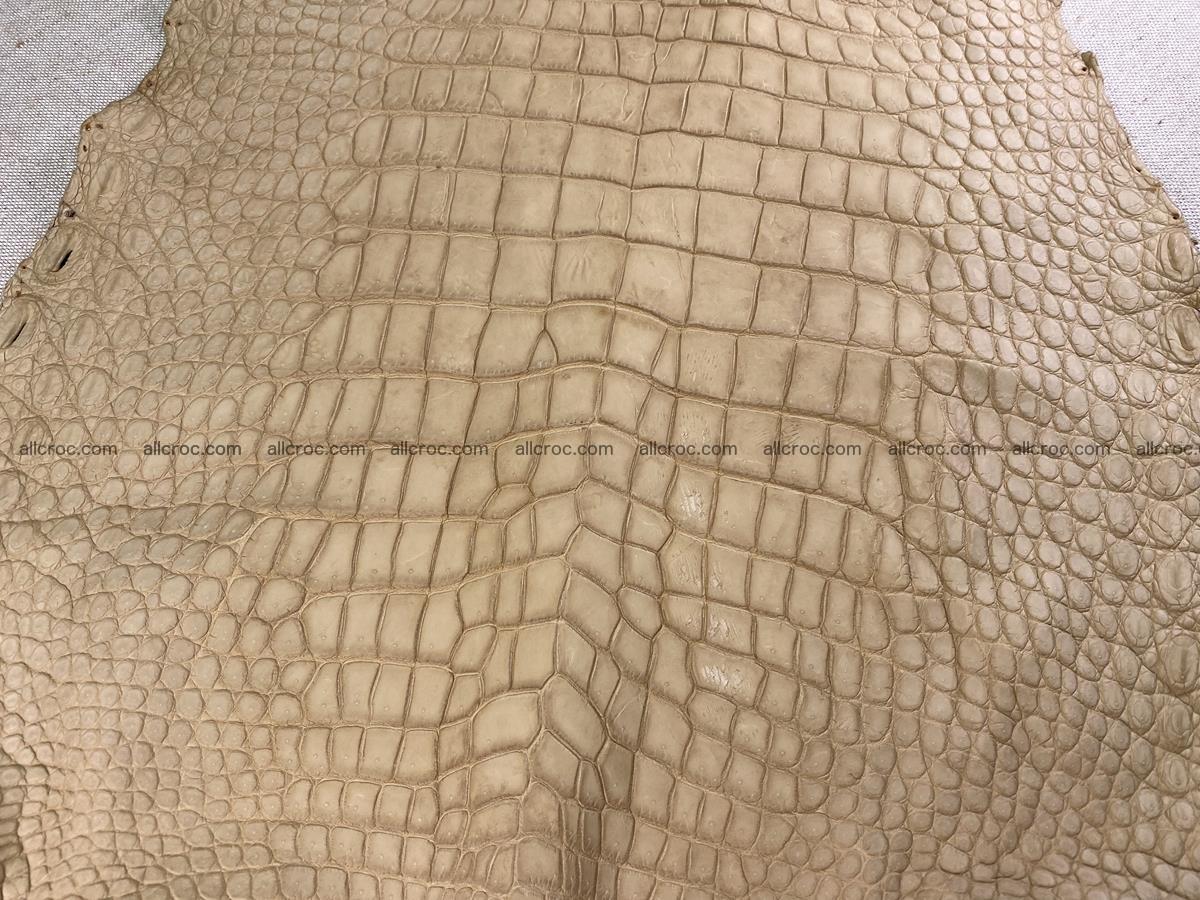 Crocodile skin belly part 41cm mustard color 1540 Foto 10