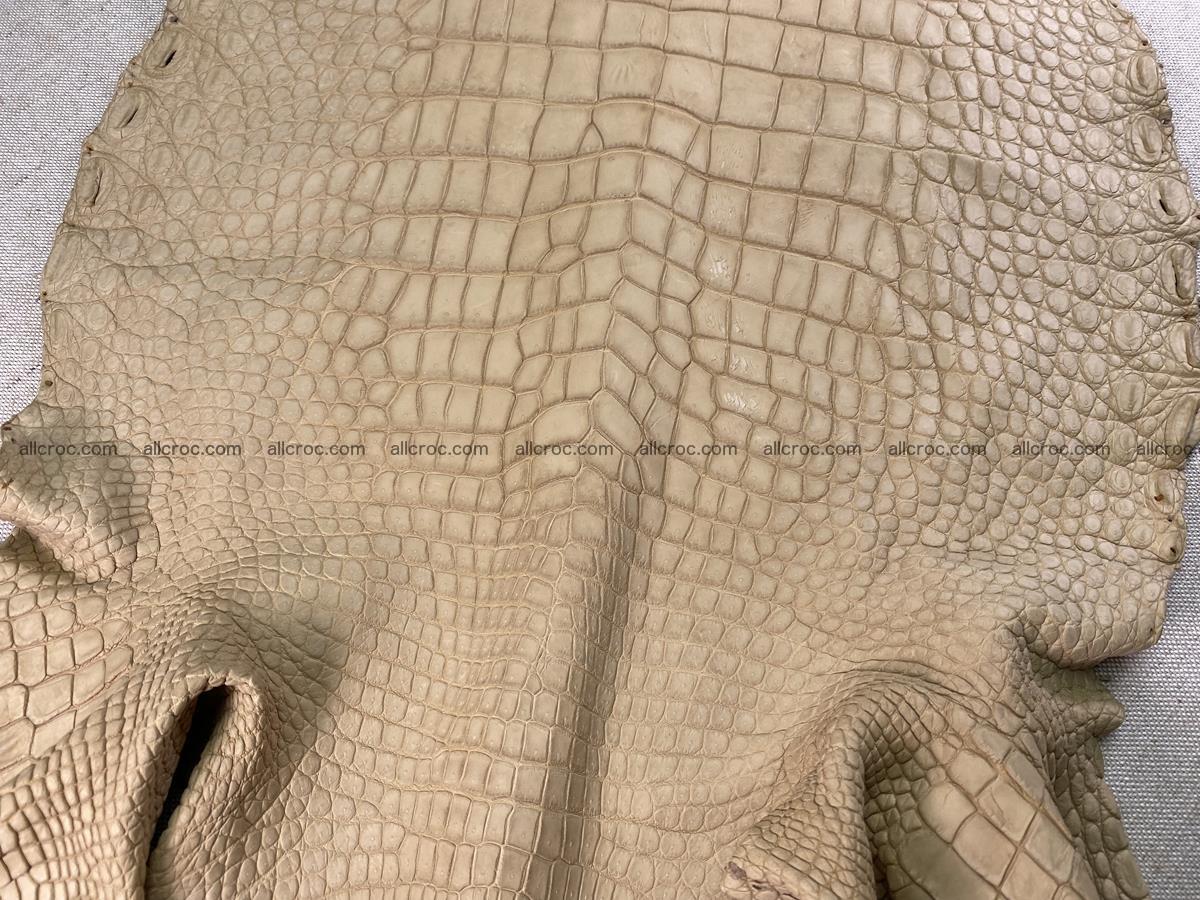 Crocodile skin belly part 41cm mustard color 1540 Foto 15