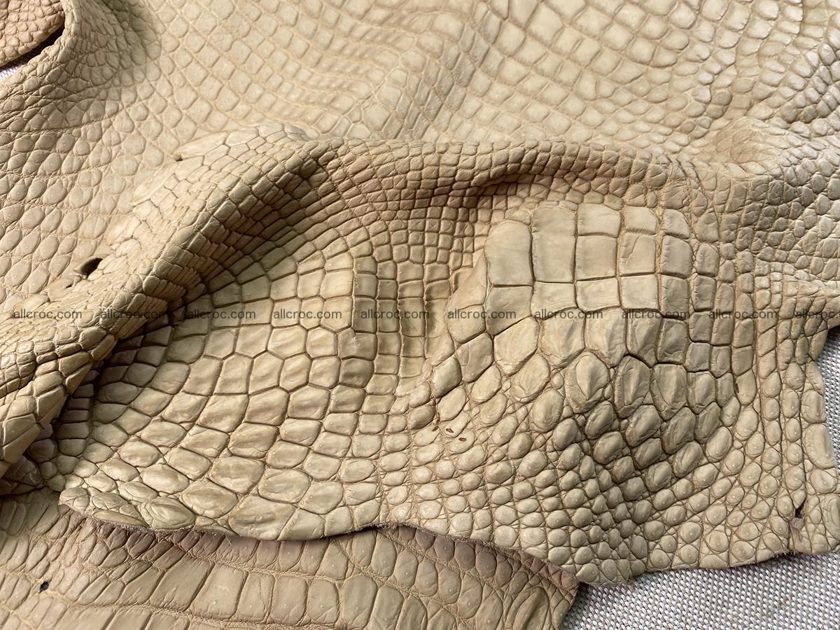 Crocodile skin belly part 41cm mustard color 1540 Foto 13