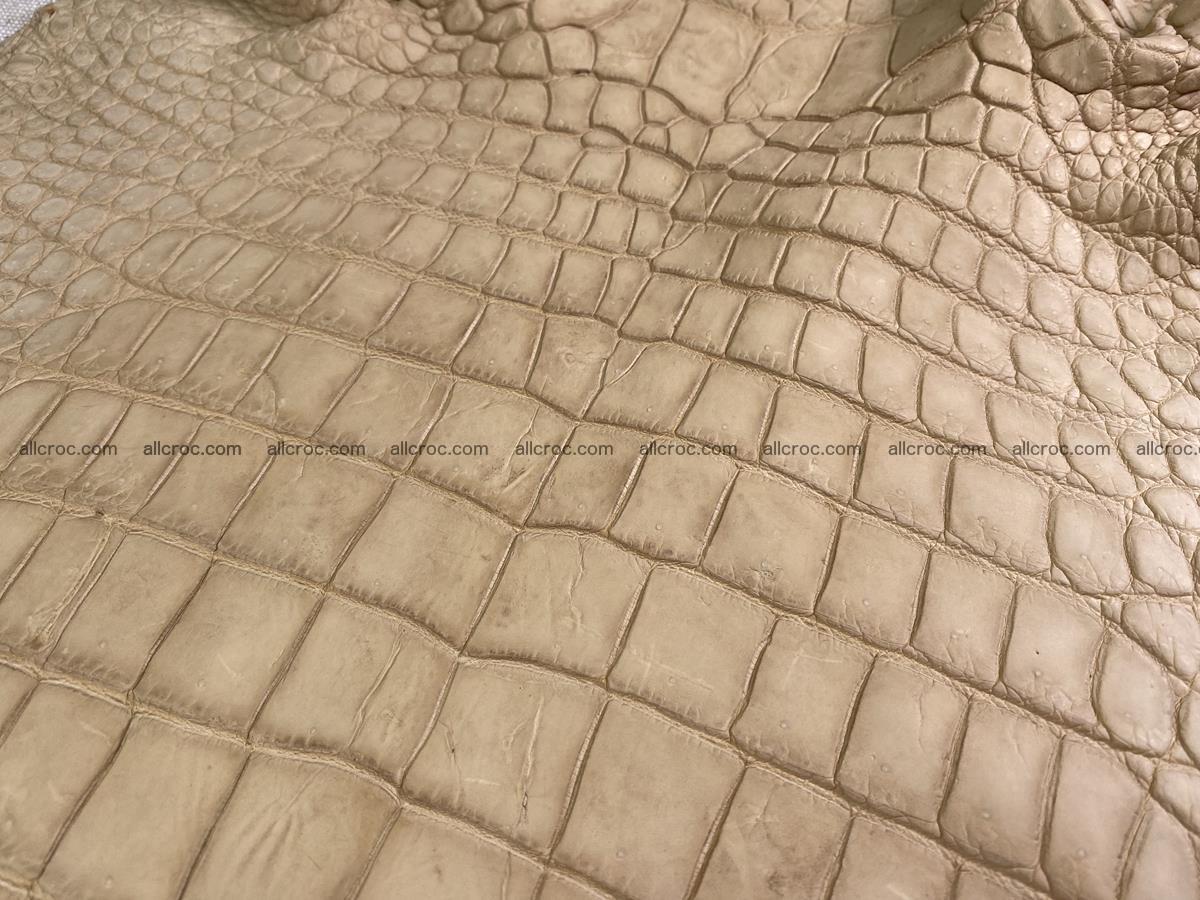 Crocodile skin belly part 41cm mustard color 1540 Foto 8