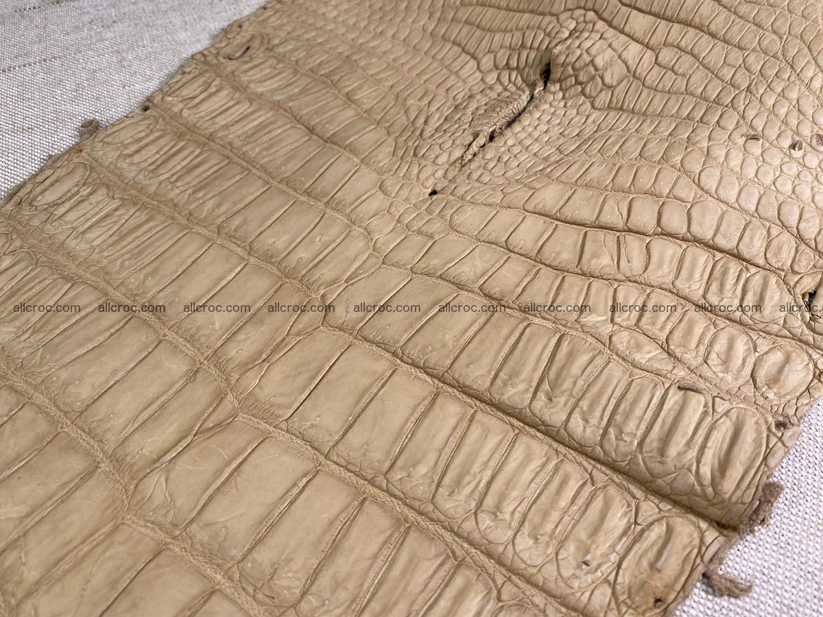 Crocodile skin belly part 41cm mustard color 1540 Foto 14