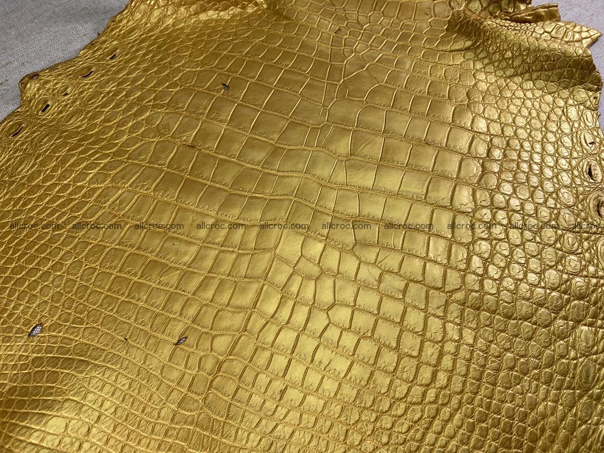 Crocodile skin belly part 44cm (no tail) gold color 1526 Foto 0