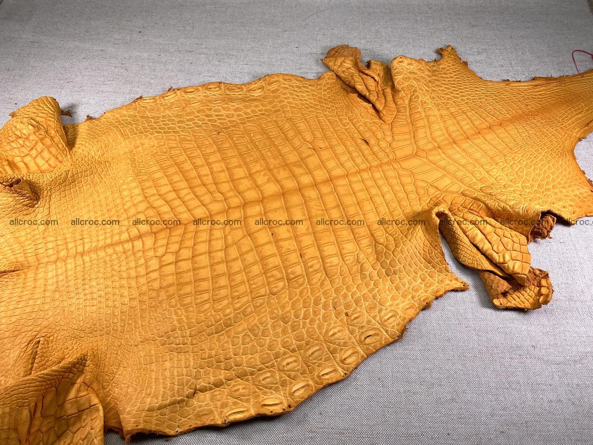 Crocodile skin belly part 46cm orange color 1481 Foto 4