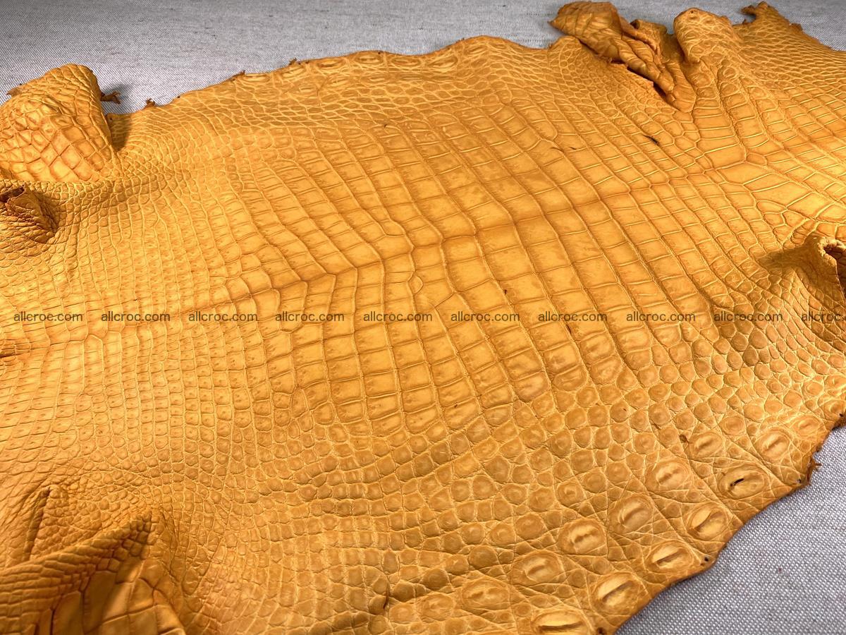 Crocodile skin belly part 46cm orange color 1481 Foto 1