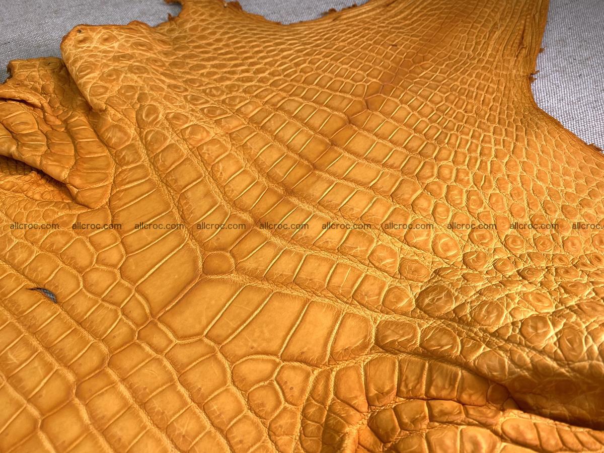 Crocodile skin belly part 46cm orange color 1481 Foto 2