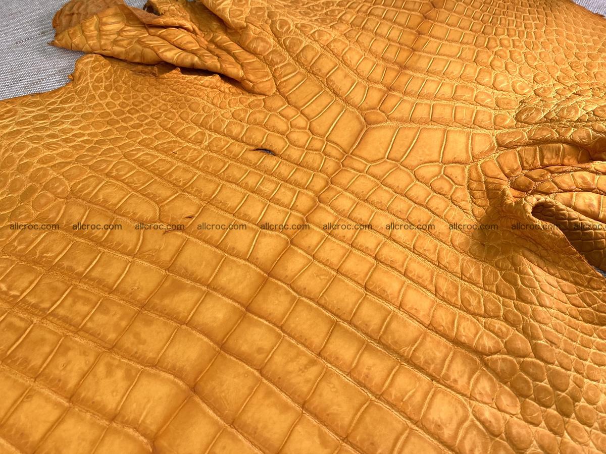 Crocodile skin belly part 46cm orange color 1481 Foto 3