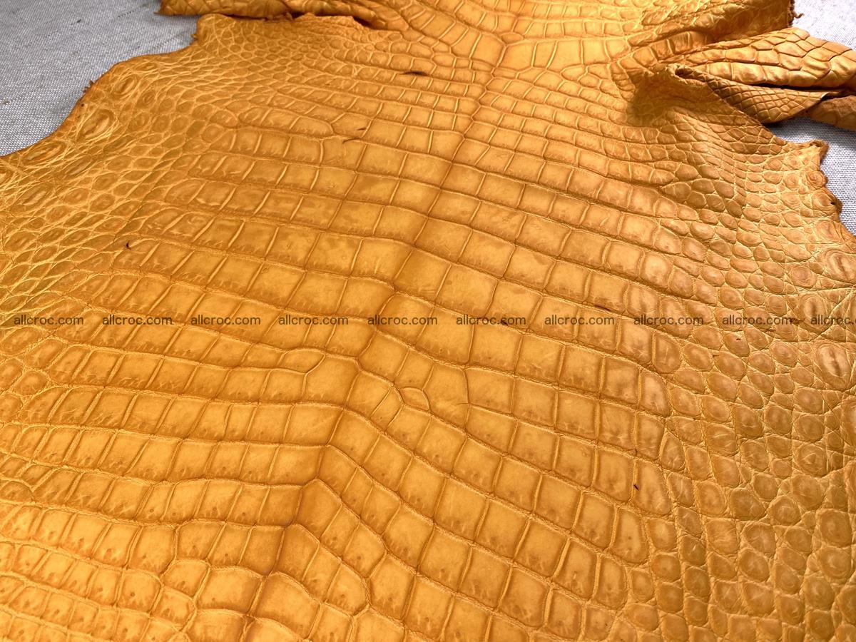 Crocodile skin belly part 46cm orange color 1481 Foto 0