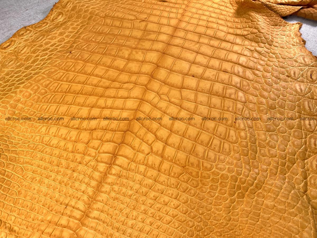 Crocodile skin belly part 46cm orange color 1481 Foto 6