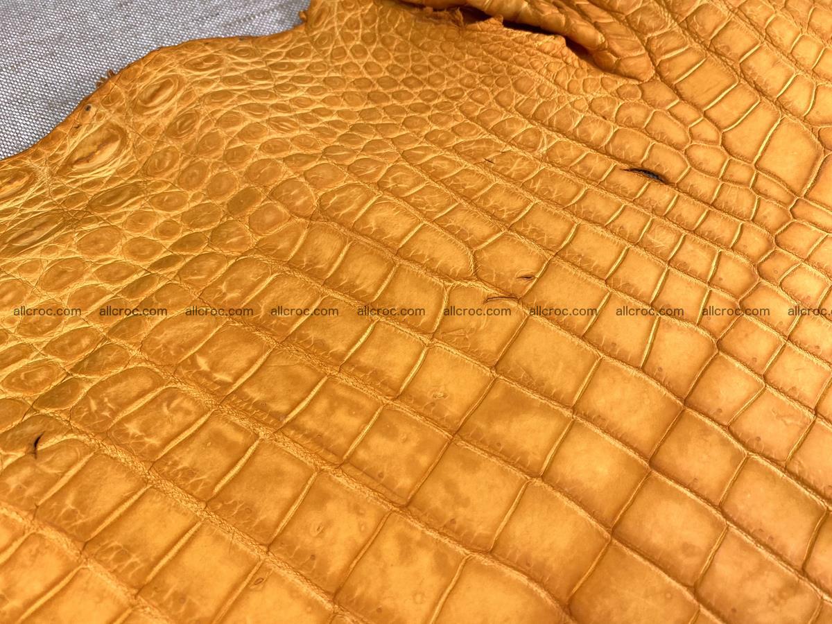 Crocodile skin belly part 46cm orange color 1481 Foto 5