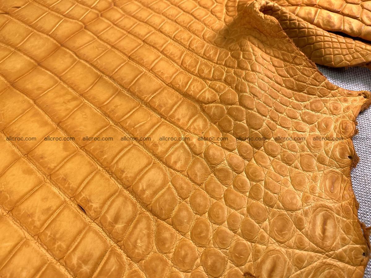 Crocodile skin belly part 46cm orange color 1481 Foto 7