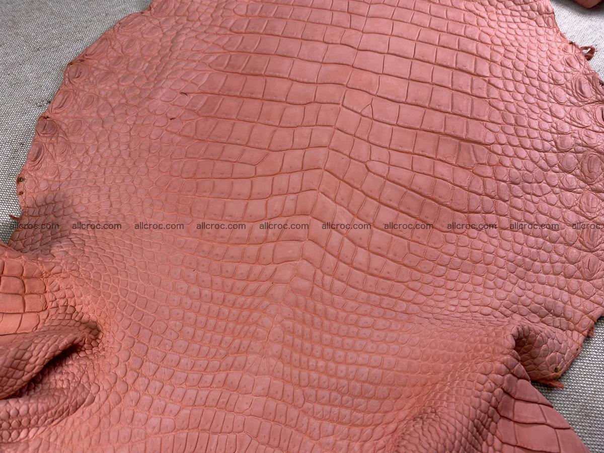 Crocodile skin belly part 32cm salmon color 1520 Foto 5