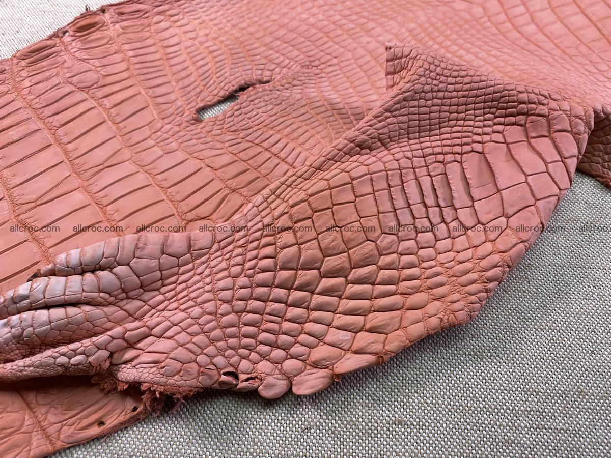 Crocodile skin belly part 32cm salmon color 1520 Foto 8
