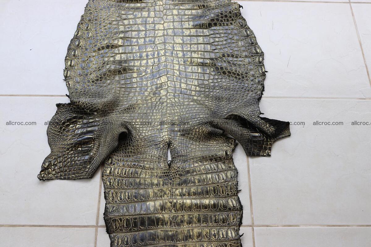 Crocodile skin belly part gold color brush off effect 1251 Foto 2