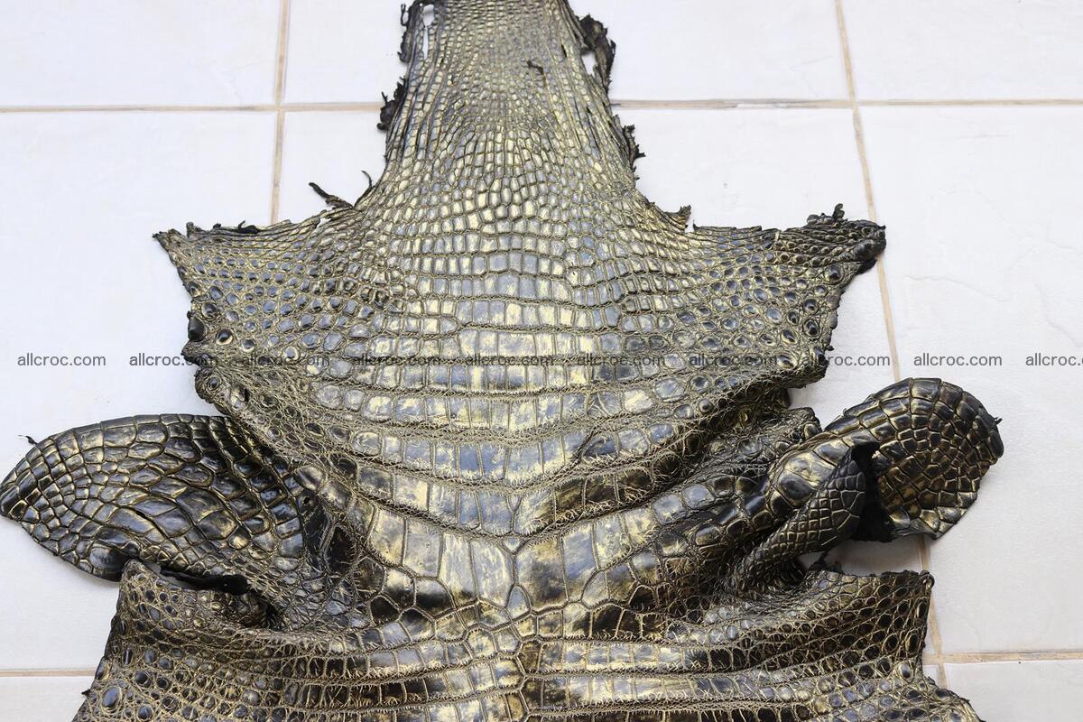 Crocodile skin belly part gold color brush off effect 1251 Foto 4