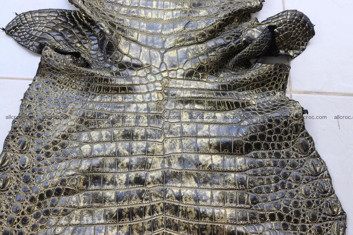 Crocodile skin belly part gold color brush off effect 1251 Foto 7