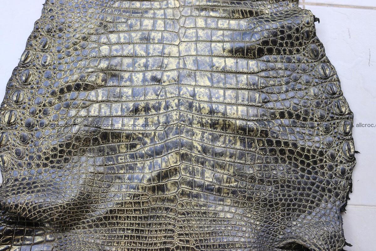 Crocodile skin belly part gold color brush off effect 1251 Foto 0