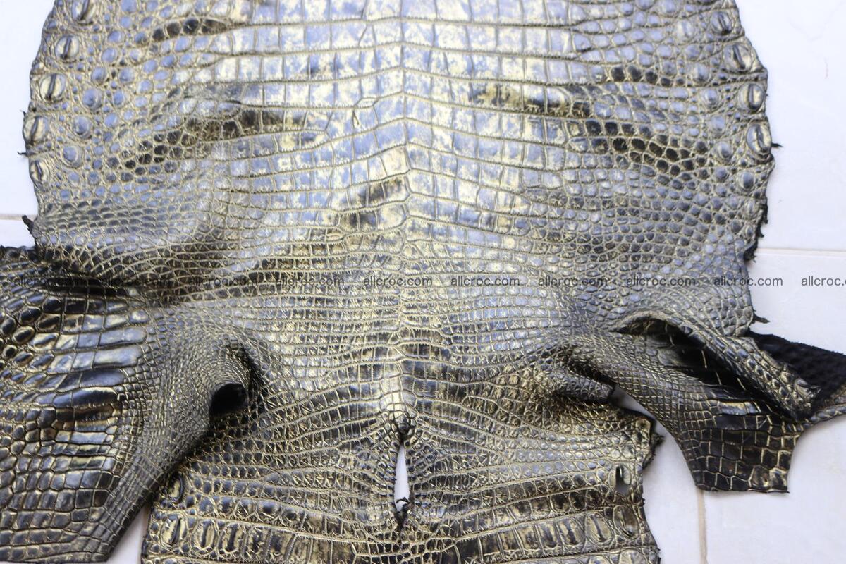 Crocodile skin belly part gold color brush off effect 1251 Foto 5