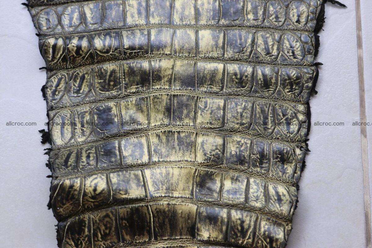 Crocodile skin belly part gold color brush off effect 1251 Foto 6