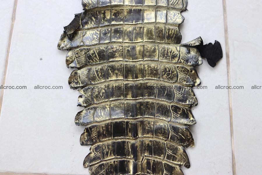 Crocodile skin belly part gold color brush off effect 1251
