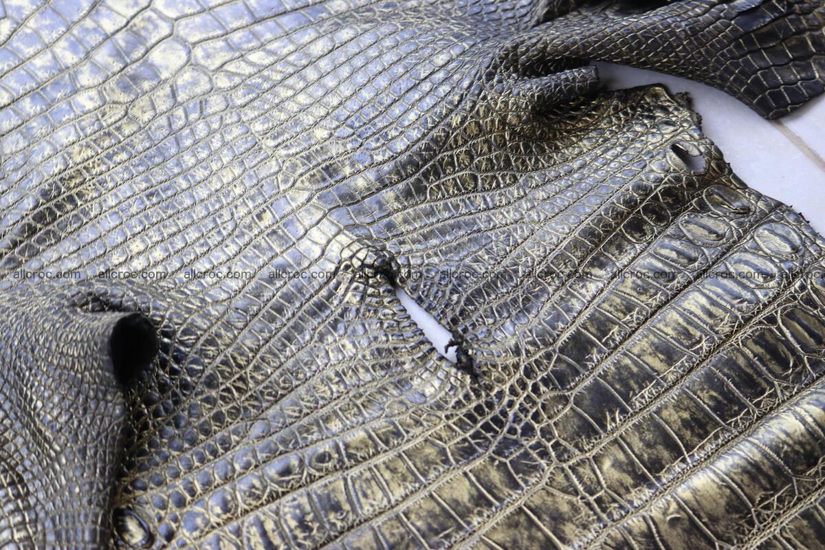 Crocodile skin belly part gold color brush off effect 1251 Foto 14