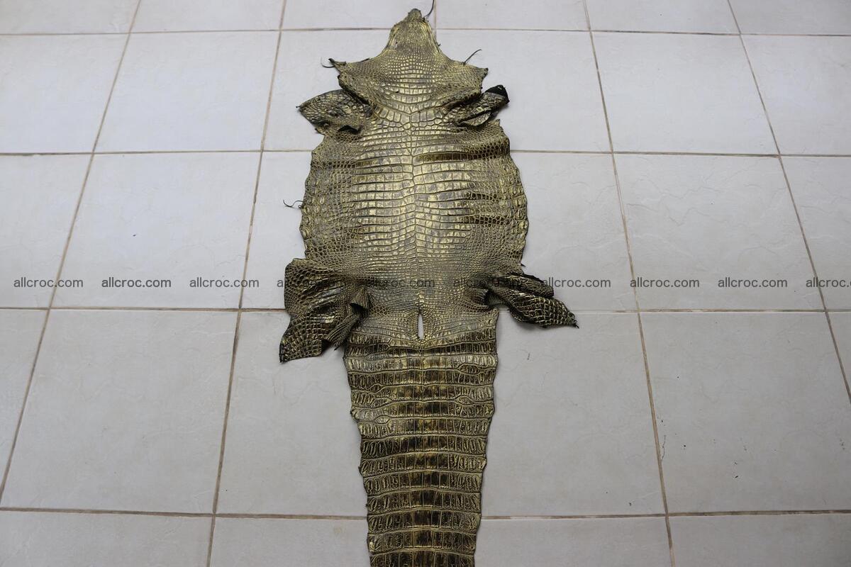 Crocodile skin belly part gold color brush off effect 1252 Foto 1