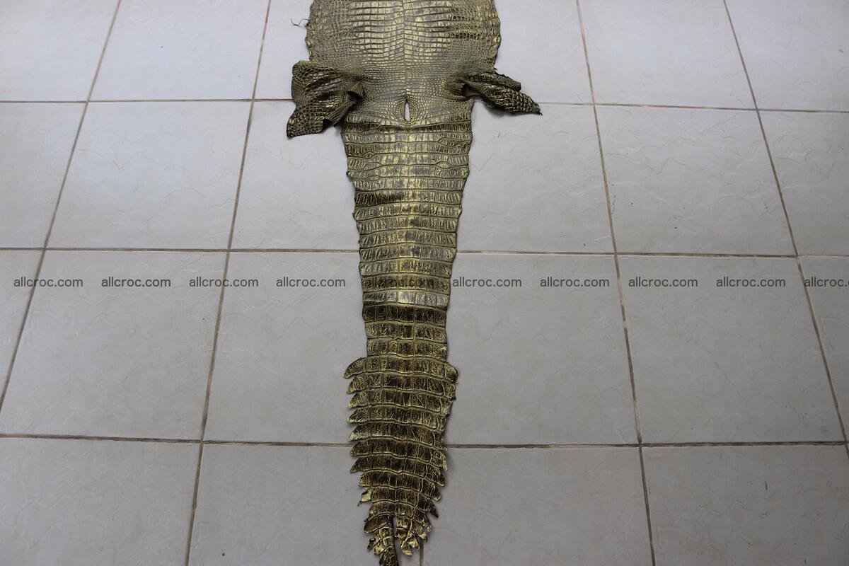 Crocodile skin belly part gold color brush off effect 1252 Foto 3