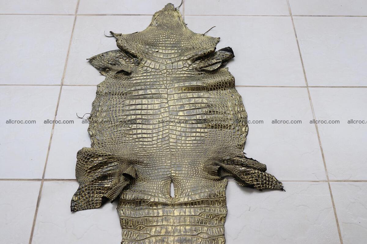 Crocodile skin belly part gold color brush off effect 1252 Foto 0