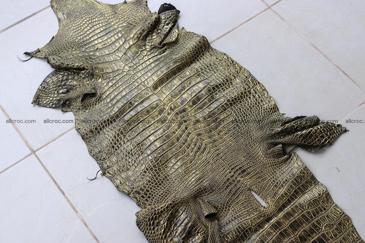 Crocodile skin belly part gold color brush off effect 1252 Foto 4