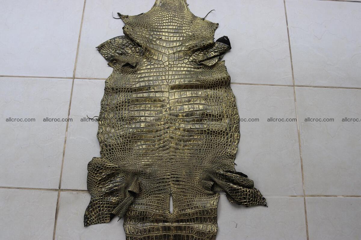 Crocodile skin belly part gold color brush off effect 1252 Foto 2