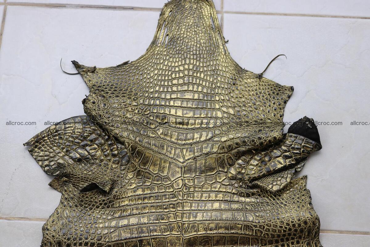 Crocodile skin belly part gold color brush off effect 1252 Foto 5