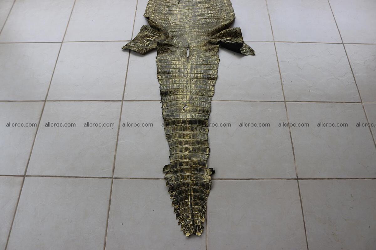 Crocodile skin belly part gold color brush off effect 1253 Foto 7