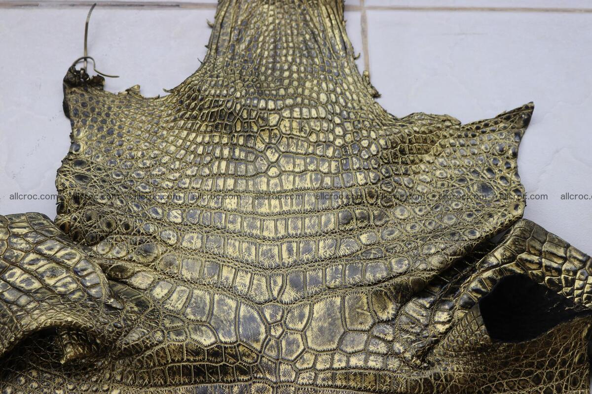 Crocodile skin belly part gold color brush off effect 1253 Foto 2