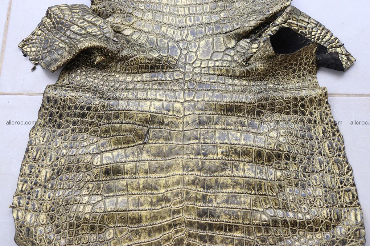 Crocodile skin belly part gold color brush off effect 1253 Foto 0