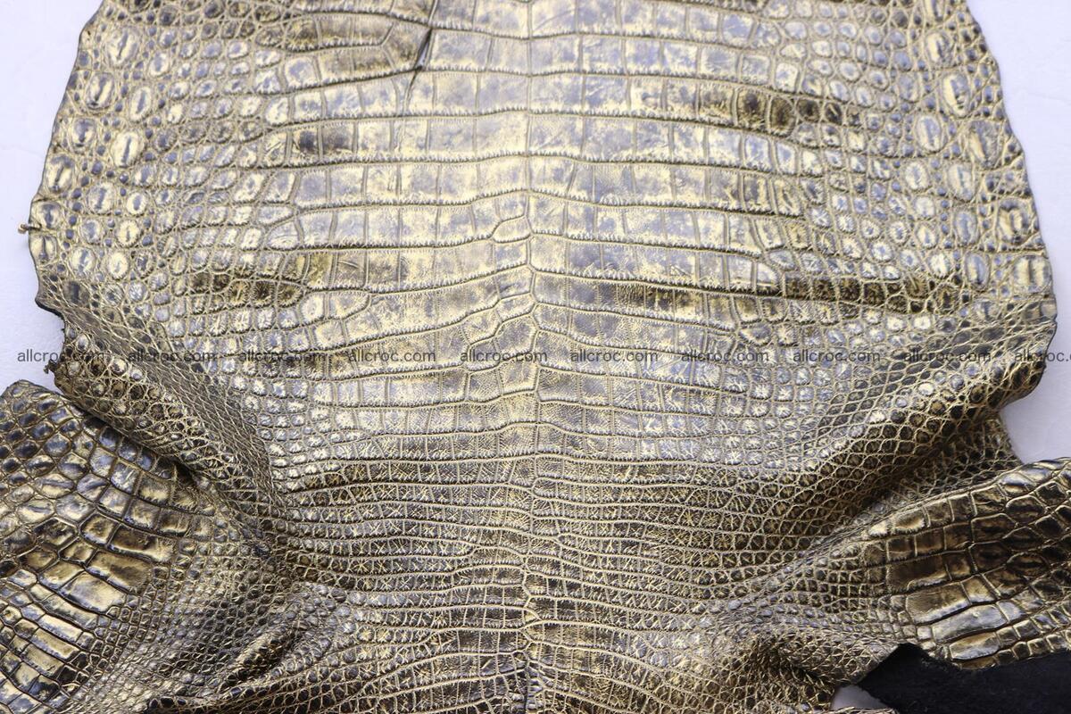 Crocodile skin belly part gold color brush off effect 1253 Foto 1